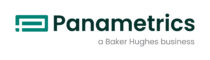 Panametrics Logo